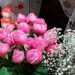 Prima di andar via siamo sopraffatti dallo splendore di alcune rose rosa molto particolari. Sono inglesi e indicano raffinatezza: la loro forma ricorda la sagoma di una coppa composta da tantissimi petali, conclude Peppino regalandocene un mazzetto